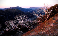 Mount Hotham view to Feathertop
